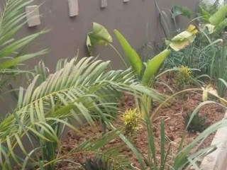 bedsitter-for-rent-in-chamba-valley