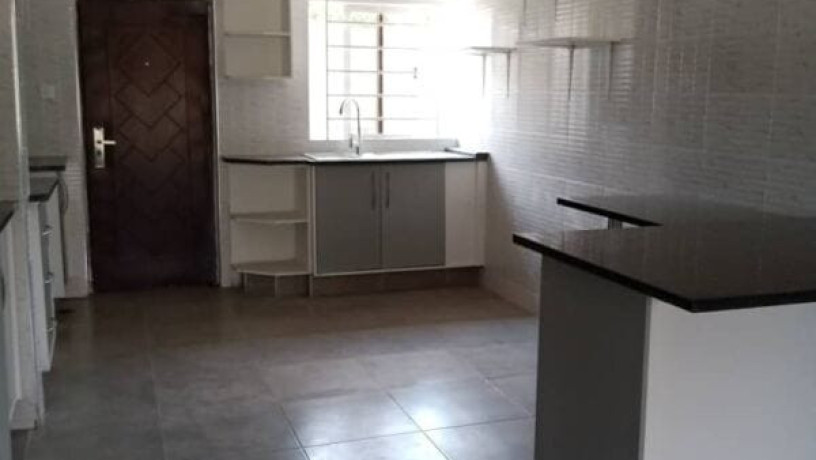 newly-built-2-bedroom-semi-detached-flat-in-makeni-bonaventure-big-8