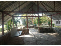 3000-hectare-land-for-sale-in-mpongwe-small-8