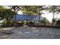 3000-hectare-land-for-sale-in-mpongwe-small-7