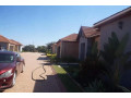 3-bedroom-apartment-for-rent-in-new-kasama-small-7