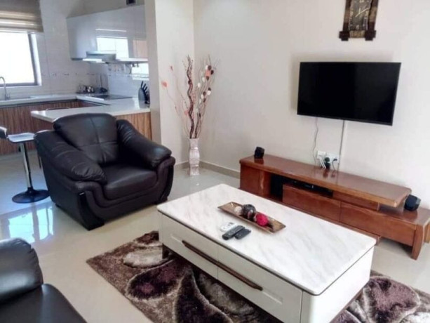 1-2-bedroom-furnished-apartments-for-rent-in-mass-media-big-3