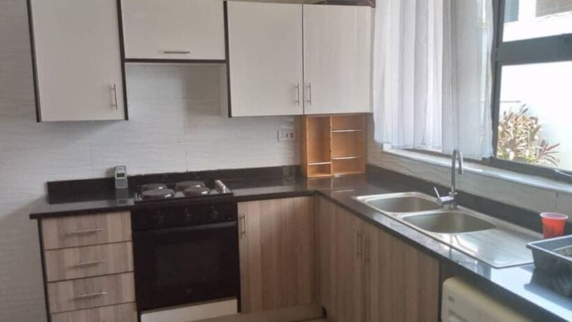 3-bedroom-flat-for-rent-in-roma-park-big-6