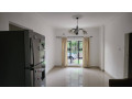 3-bedroom-house-for-rent-in-ibex-hill-small-7