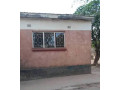 3-bedroom-house-for-rent-in-kabanana-small-5