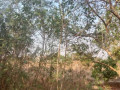 plot-for-sale-in-ngwerere-small-0