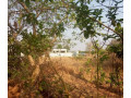 plot-for-sale-in-ngwerere-small-2