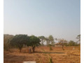 plot-for-sale-in-ngwerere-small-1