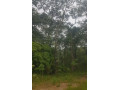 1017-hectare-farm-land-for-sale-small-0