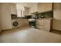 3-bedroom-apartment-for-rent-in-roma-park-small-0
