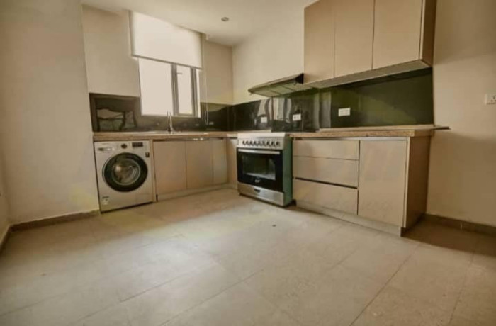 3-bedroom-apartment-for-rent-in-roma-park-big-0