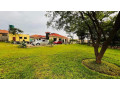3-bedroom-house-for-rent-in-roma-park-small-4