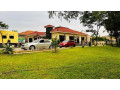 3-bedroom-house-for-rent-in-roma-park-small-5