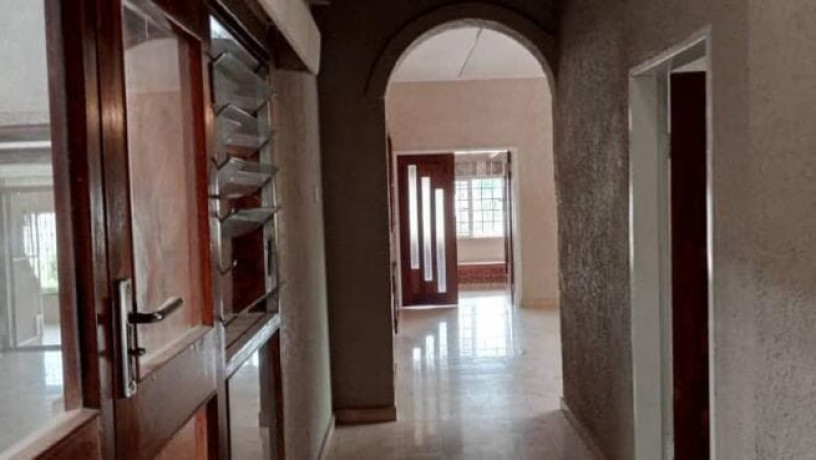 4-bedroom-house-for-rent-in-roma-park-big-1