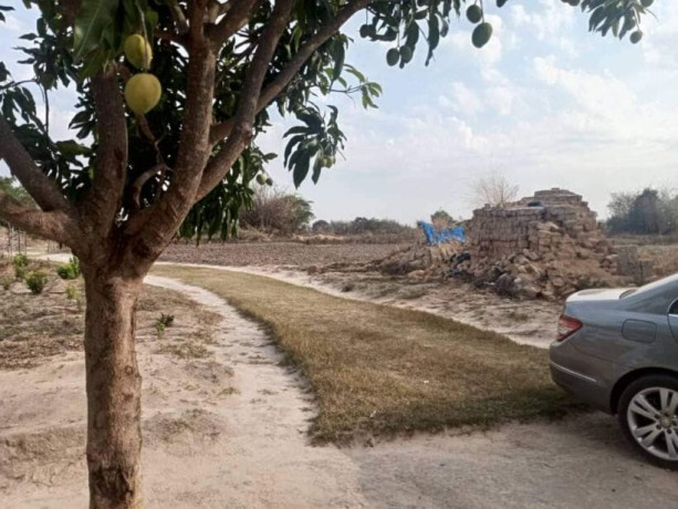 1-hectar-farm-for-sale-in-kamfinsa-big-4