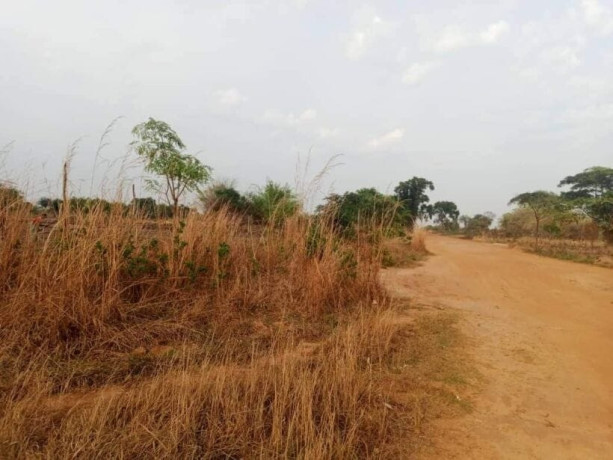 1-hectar-farm-for-sale-in-kamfinsa-big-3