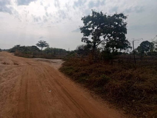 1-hectar-farm-for-sale-in-kamfinsa-big-1