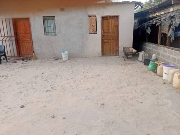 1-hectar-farm-for-sale-in-kamfinsa-big-7
