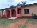 neat-and-modern-3-bedroom-house-for-rent-in-avondale-small-3