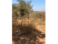1-acre-plot-for-sale-in-new-kasama-small-4