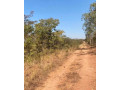 1-acre-plot-for-sale-in-new-kasama-small-0