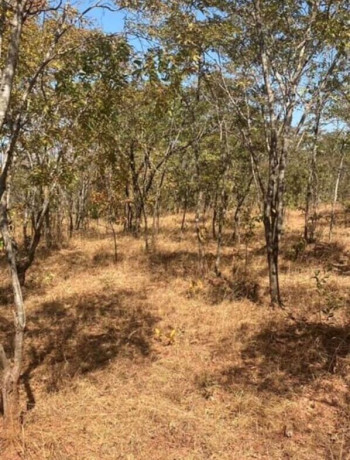 1-acre-plot-for-sale-in-new-kasama-big-2