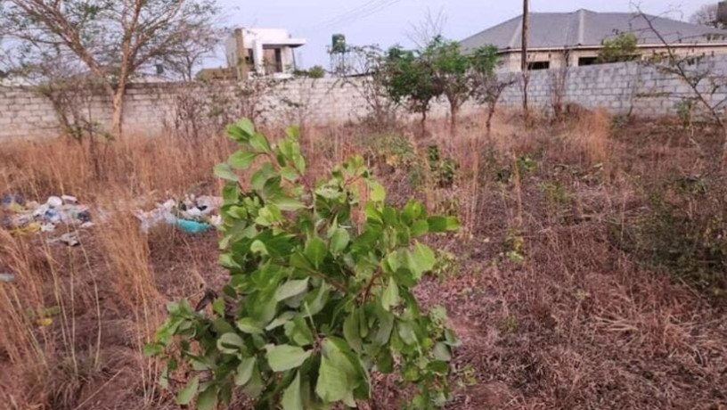 plot-for-sale-in-ibex-meanwood-big-0