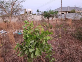 plot-for-sale-in-ibex-meanwood