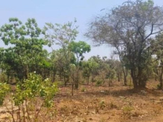 5 Acre Land For Sale in Ibex Meanwood