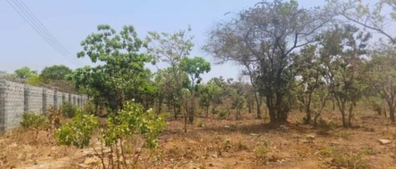 5-acre-land-for-sale-in-ibex-meanwood-big-0