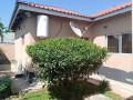 4-bedroom-house-for-rent-in-ibex-hill-small-8