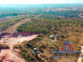 26-acres-land-for-sale-in-palabana-small-0