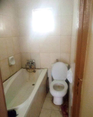 2-bedroom-flat-for-rent-in-chalala-big-5