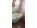 3-bedroom-flat-for-rent-in-chalala-small-4