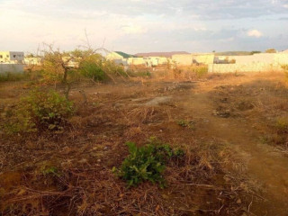 plot-for-sale-in-meanwood-mutumbi
