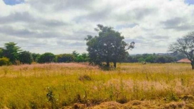 45-acre-land-for-sale-in-serenje-big-2