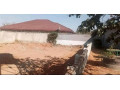 plot-for-sale-in-zanimuone-west-small-0