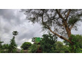 spacious-3-bedroom-house-for-rent-in-ibex-hill-small-3