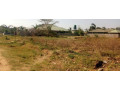 plot-for-sale-in-vorna-valley-small-0
