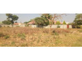plot-for-sale-in-vorna-valley-small-3
