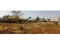 plot-for-sale-in-vorna-valley-small-2