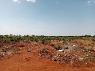 Plot for Sale in Chalala