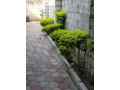 3-bedroom-flat-for-rent-in-meanwood-ndeke-small-5