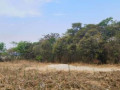 2-acre-plot-for-sale-in-ibex-hill-small-0