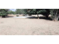 4-bedroom-house-for-rent-in-lilayi-small-2