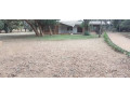 4-bedroom-house-for-rent-in-lilayi-small-6