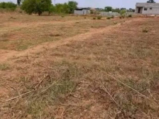 Plot For Sale In Lilayi