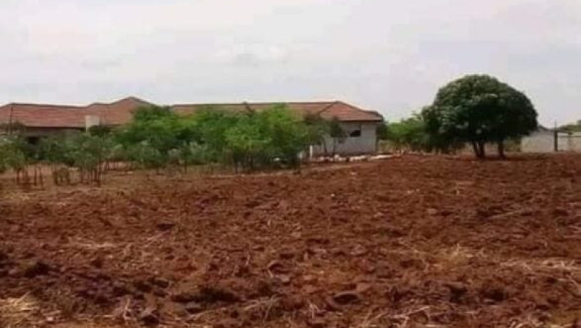 plot-for-sale-in-lilayi-big-3