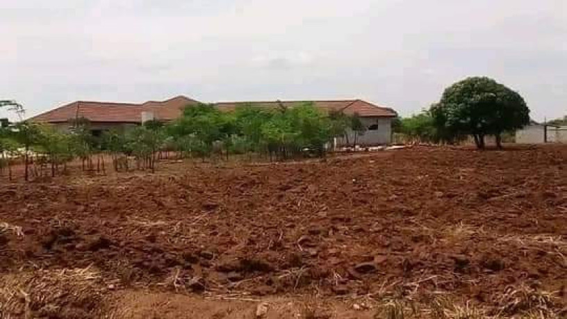 50-plots-for-sale-in-chalala-lilayi-estate-big-0