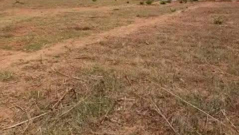 50-plots-for-sale-in-chalala-lilayi-estate-big-5